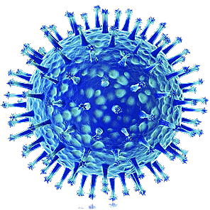 The Flu