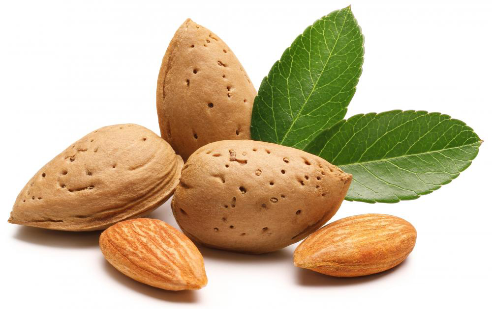 Why You Should Eat Almonds
