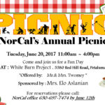 picnic 2017-1