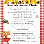 picnic 2017