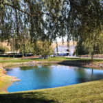 Picnic (3)
