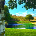 Picnic (5)