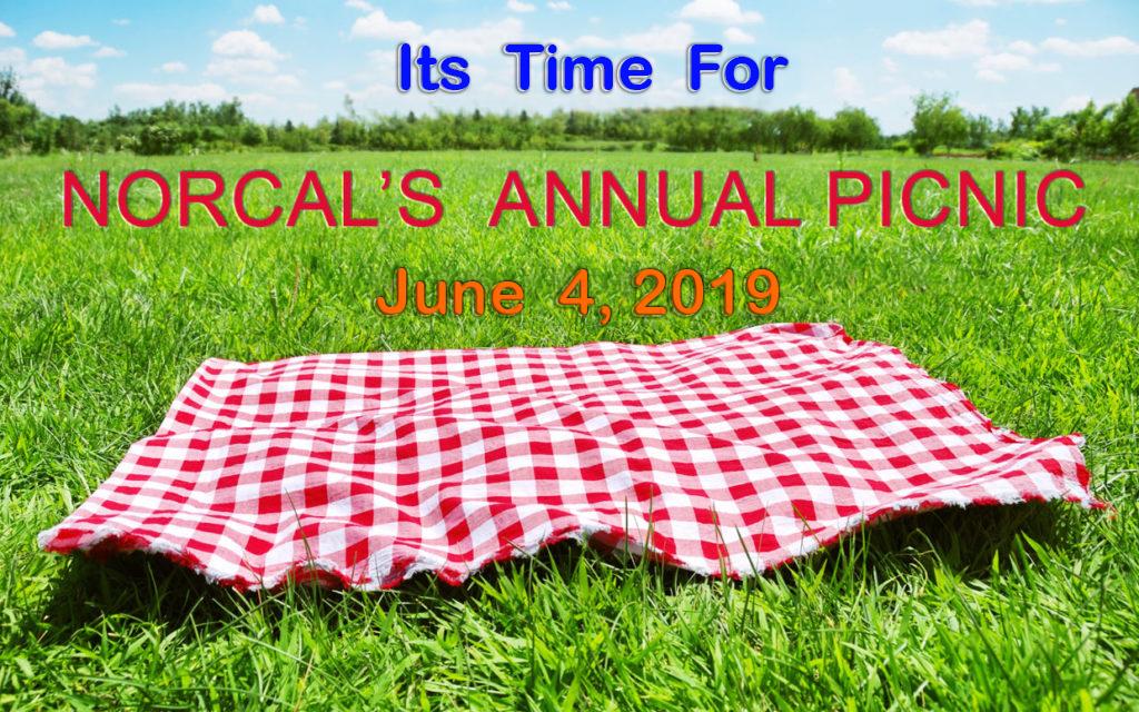 Annual Picnic